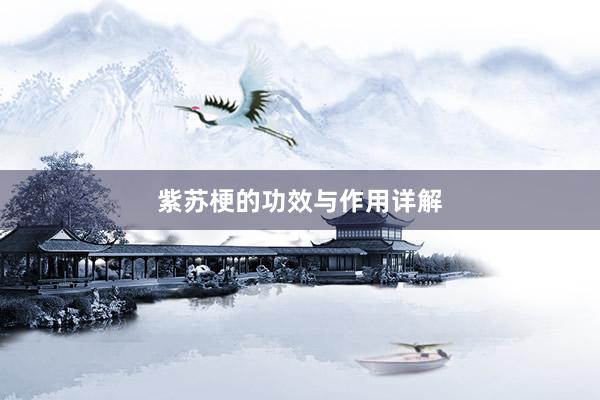 紫苏梗的功效与作用详解