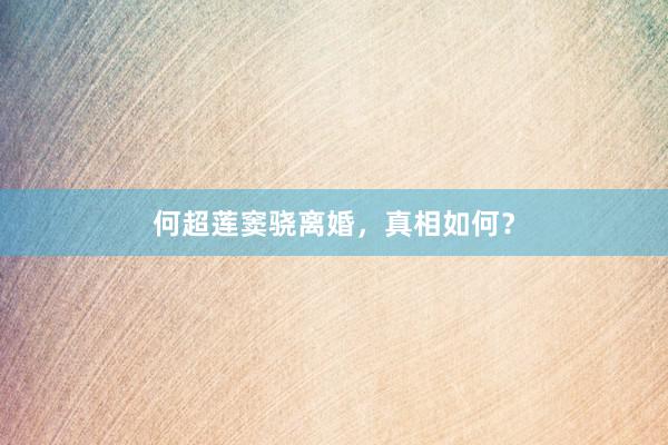 何超莲窦骁离婚，真相如何？